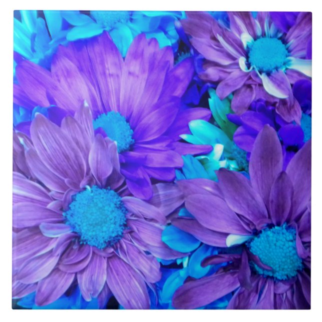 Amethyst Purple and Turquoise Blue Daisies Ceramic Tile (Front)