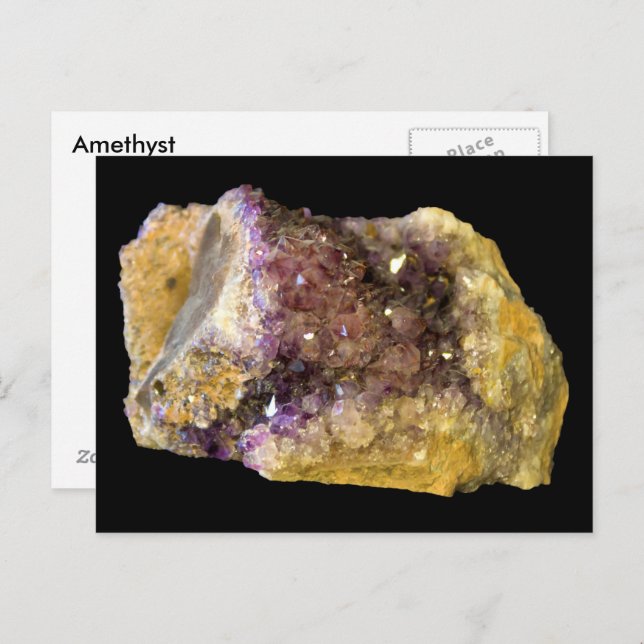 Amethyst Purple Mineral Rock Nature Photography Postcard (Front/Back)