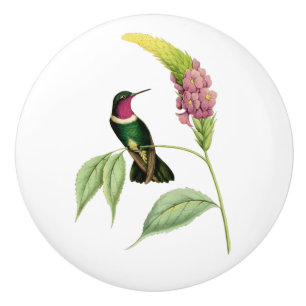 Amethyst Throated Hummingbird Ceramic Knob