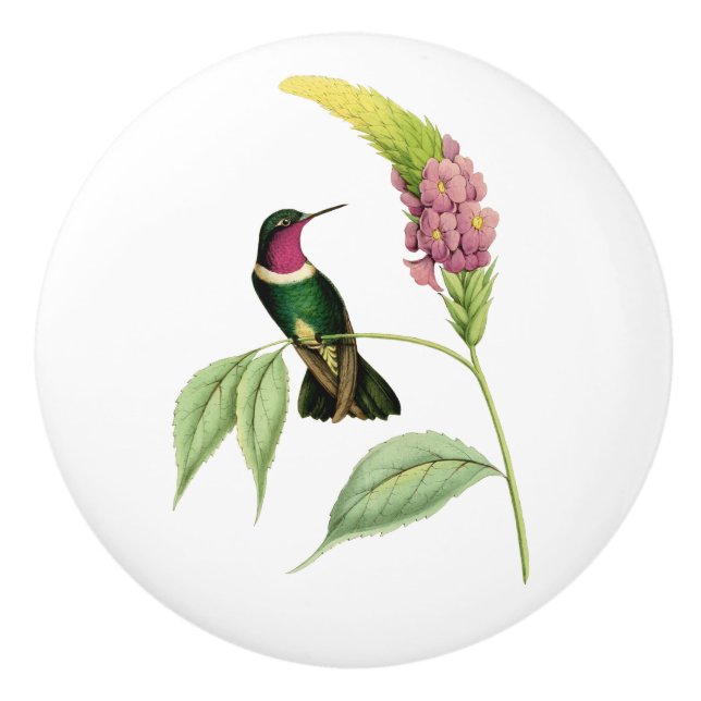 Amethyst Throated Hummingbird Ceramic Knob (Front)