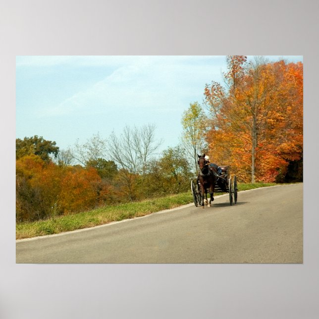 Amich Buggy Print (Front)