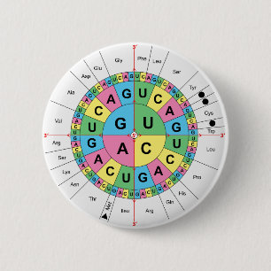 Amino Acid Base Sequence Table Diagram 6 Cm Round Badge