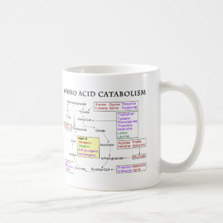 Amino Acid Catabolism Diagram Coffee Mug