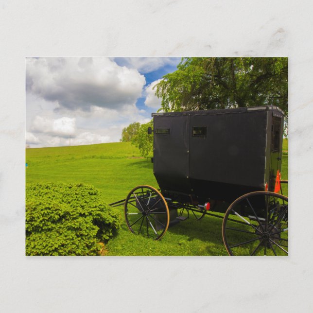 Amish Buggy at Hillside Farm Postcard (Front)