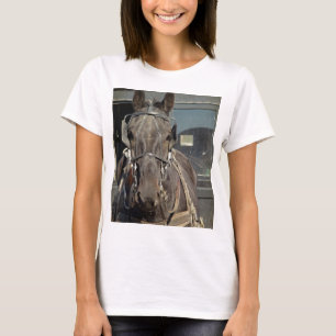 Amish Buggy Horse T-Shirt