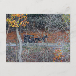 Amish Buggy on a Rural Road in Autumn, Ohio Postcard