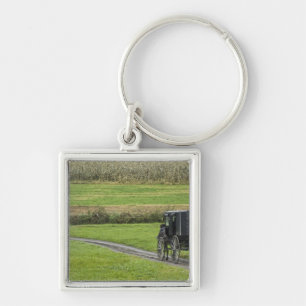 Amish buggy on farm lane, Northeastern Ohio, Key Ring