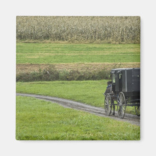 Amish buggy on farm lane, Northeastern Ohio, Magnet
