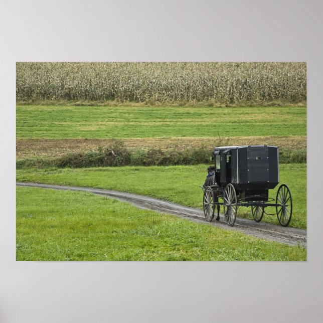 Amish buggy on farm lane, Northeastern Ohio, Poster (Front)