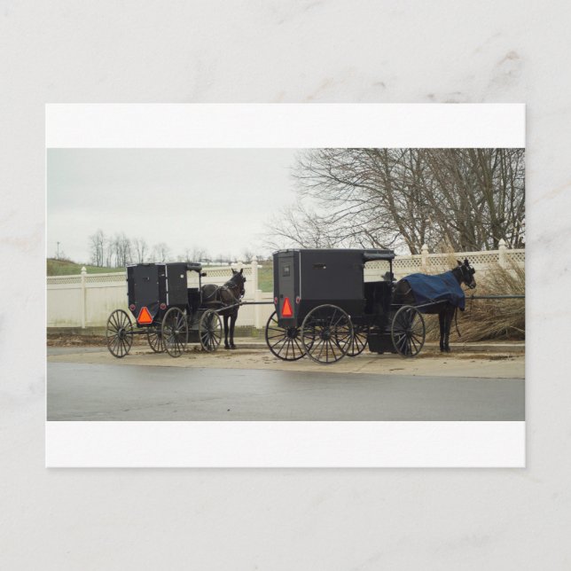 Amish Buggy "Parking Lot" Postcard (Front)