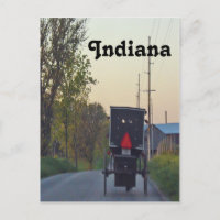 Amish Buggy