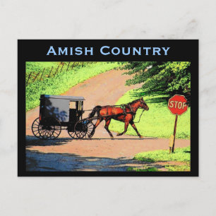 Amish Buggy Postcard