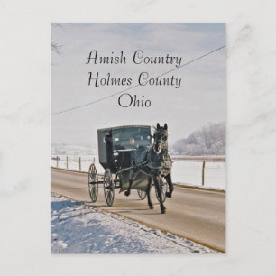 Amish Country Horse and Buggy-Postcard Postcard