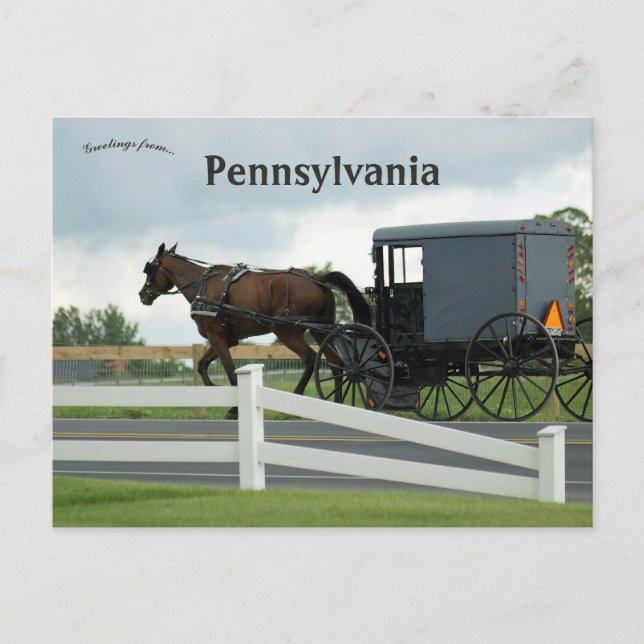Amish Country in Lancaster Pennsylvania Postcard (Front)