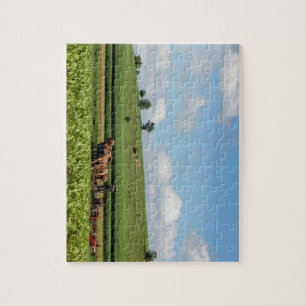 Amish Country Jigsaw Puzzle