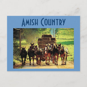 Amish Country Postcard - Customised