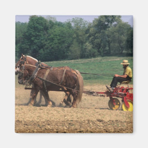 Amish Country simple people in farming with Magnet
