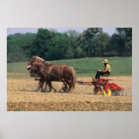 Amish Country simple people in farming with