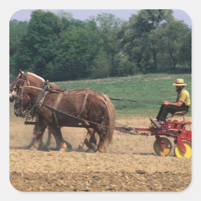 Amish Country simple people in farming with Square Sticker (Front)