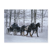 Amish Country Winter Carriage Ride-Postcard