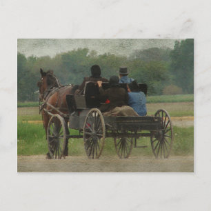 Amish Family Outing Postcard