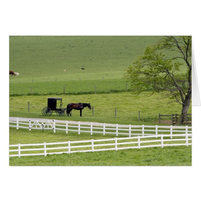 Amish farm with horse and buggy near Berlin, (Front Horizontal)