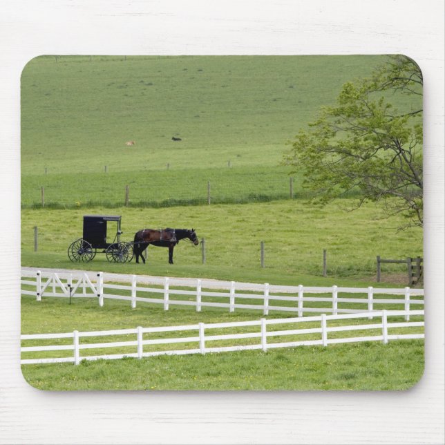 Amish farm with horse and buggy near Berlin, Mouse Pad (Front)