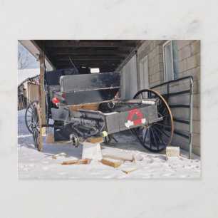 Amish Flat-Postcard Postcard