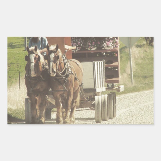Amish Flower Delivery Rectangular Sticker (Front)