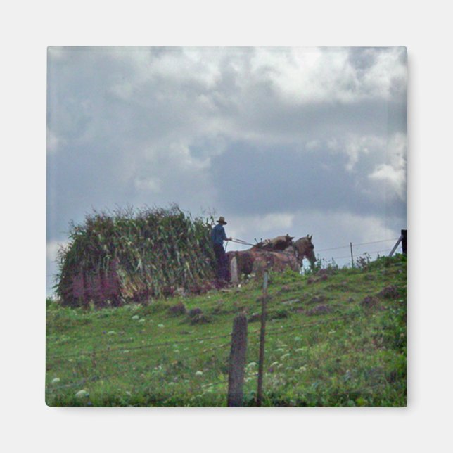 Amish Harvest Magnet (Front)