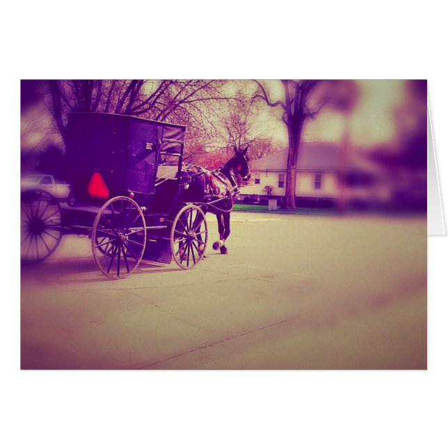 Amish Horse and Buggy (Front Horizontal)