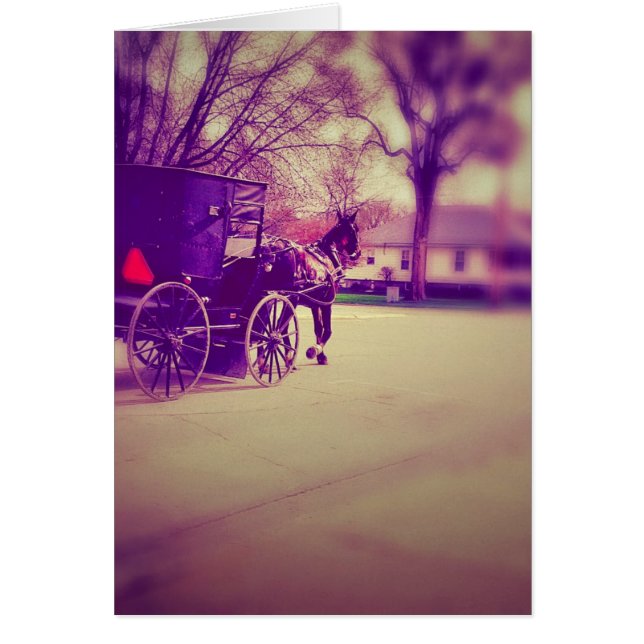 Amish Horse and Buggy (Front)