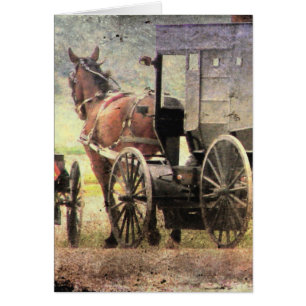 Amish Horse and Buggy
