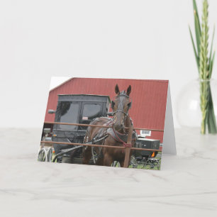 Amish Horse and Buggy Card