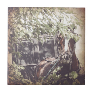 Amish Horse and Buggy in the Shade Ceramic Tile