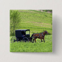 Amish horse and buggy near Berlin, Ohio.