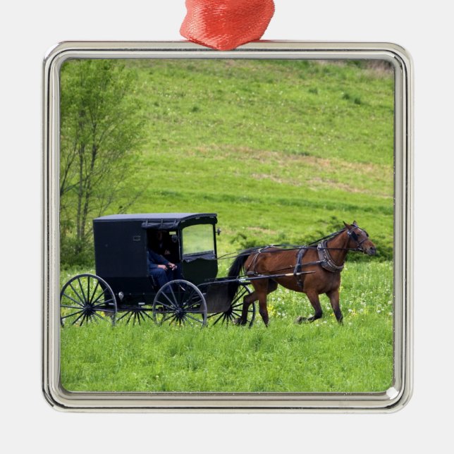 Amish horse and buggy near Berlin, Ohio. Metal Tree Decoration (Front)