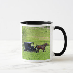 Amish horse and buggy near Berlin, Ohio. Mug