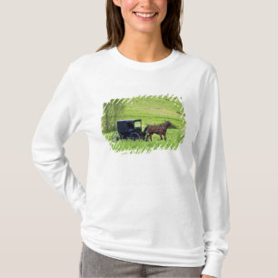 Amish horse and buggy near Berlin, Ohio. T-Shirt