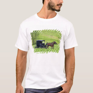 Amish horse and buggy near Berlin, Ohio. T-Shirt