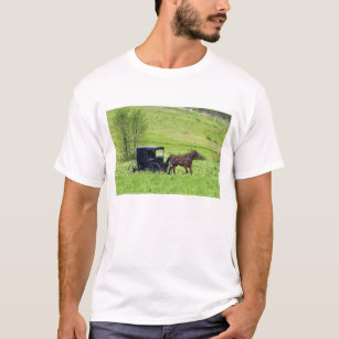 Amish horse and buggy near Berlin, Ohio. T-Shirt