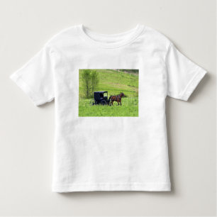 Amish horse and buggy near Berlin, Ohio. Toddler T-Shirt