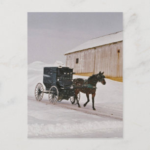 Amish Horse and Buggy on Winter Road-Postcard Postcard