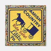 Amish Horse and Buggy, Ride Safe in Lititz Pa.