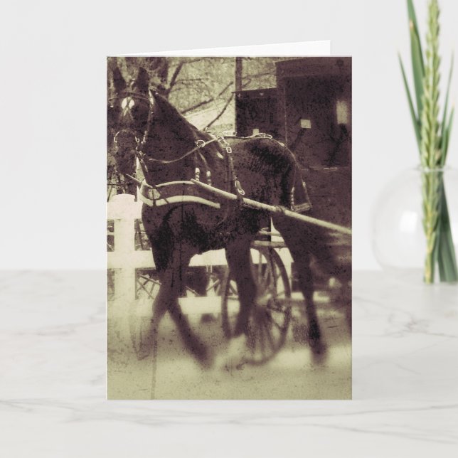 Amish Horse and Buggy Rural Iowa Photography  Card (Front)