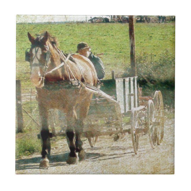Amish Horse and Cart Ceramic Tile (Front)