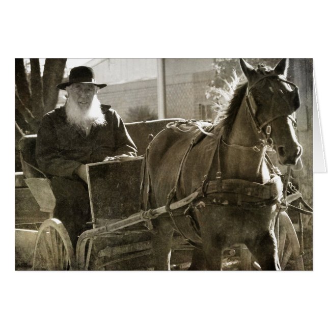 Amish Horse Being Silly With Tongue Stuck Out (Front Horizontal)