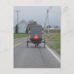 Amish Horse & Buggy Postcard