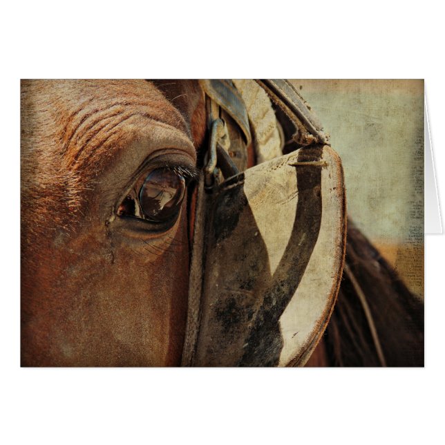 Amish Horse Eye (Front Horizontal)