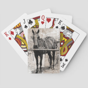 Amish horse grunge playing cards